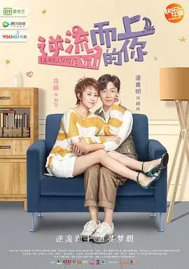 逆流而上的你:婚姻、事业与生活的都市情感剧