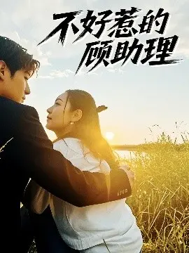 《不好惹的顾助理》:职场风云与情感纠葛,看顾助理如何逆袭