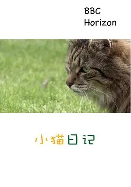 《地平线系列：小猫日记》：喵星人的暖心治愈日常