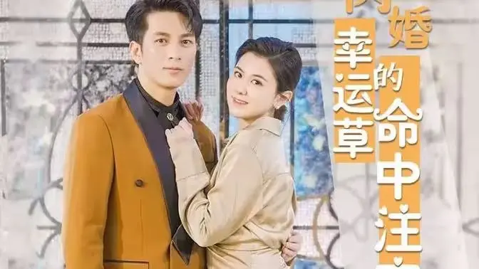 《闪婚幸运草》：命中注定的爱情，一场奇妙之旅！