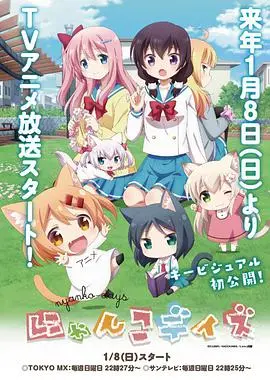 《猫咪days》：超萌短剧，人与猫的甜蜜日常，治愈你的心！