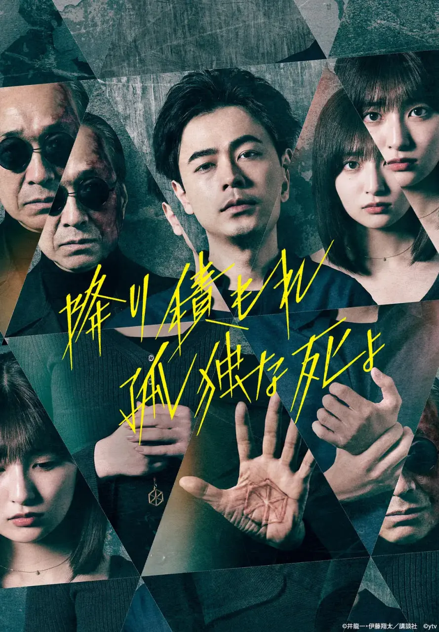 《如积雪般的永寂》：一场关于孤独、救赎与希望的北极光之旅