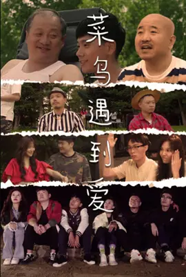 《菜鸟遇到爱》：真爱还是套路？看完第四季你就懂了！